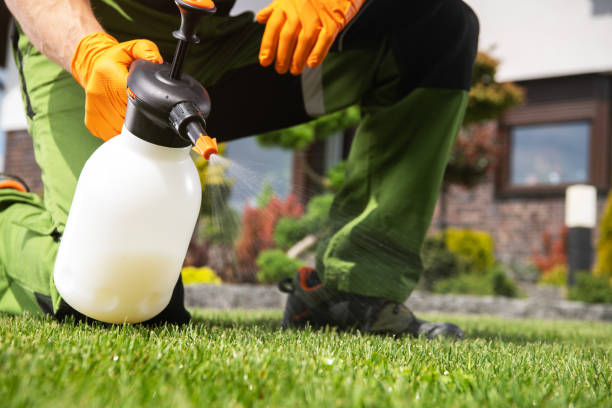 Best Residential Pest Control  in Linganore, MD