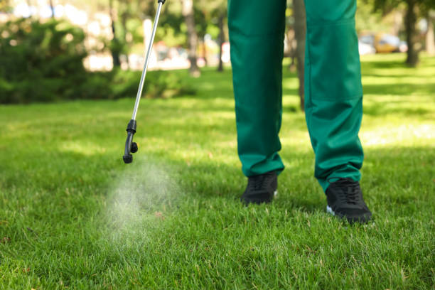 Best Best Pest Control Companies  in Linganore, MD