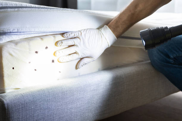 Best Pest Control Near Me  in Linganore, MD