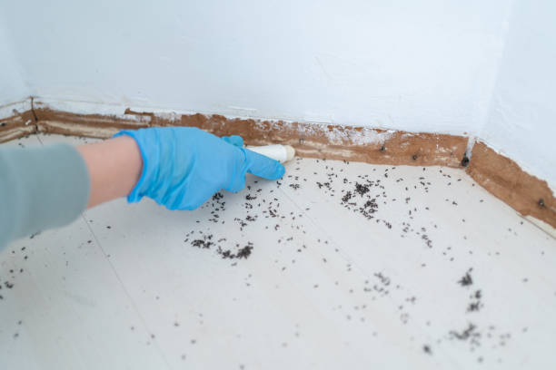 Best Wasp Removal Services  in Linganore, MD