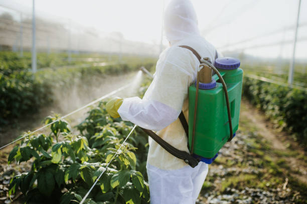 Best Local Pest Control Services  in Linganore, MD